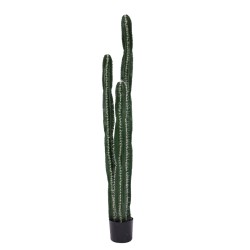 Διακοσμητικό φυτό Cactus II...