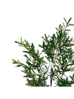 Διακοσμητικό φυτό Olive tree I σε γλάστρα Inart πράσινο pp Υ150εκ